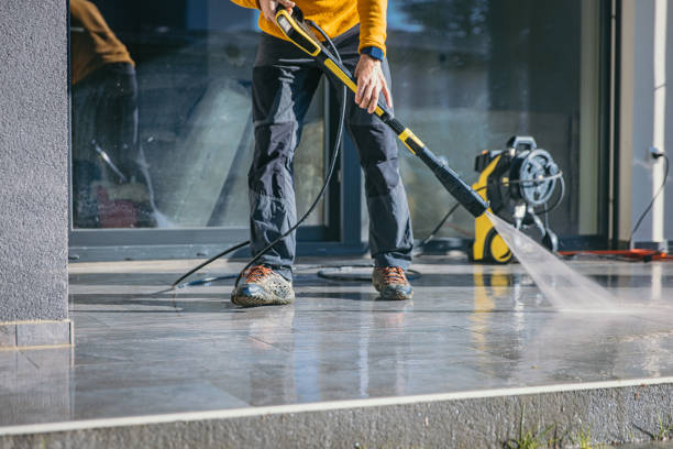 Best Soft Washing  in Roseau, MN